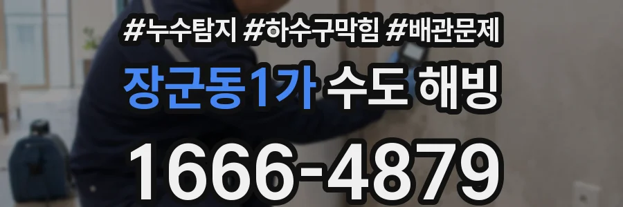 장군동1가 수도 해빙
