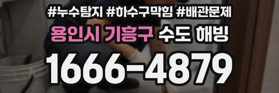 용인시 기흥구 수도 해빙