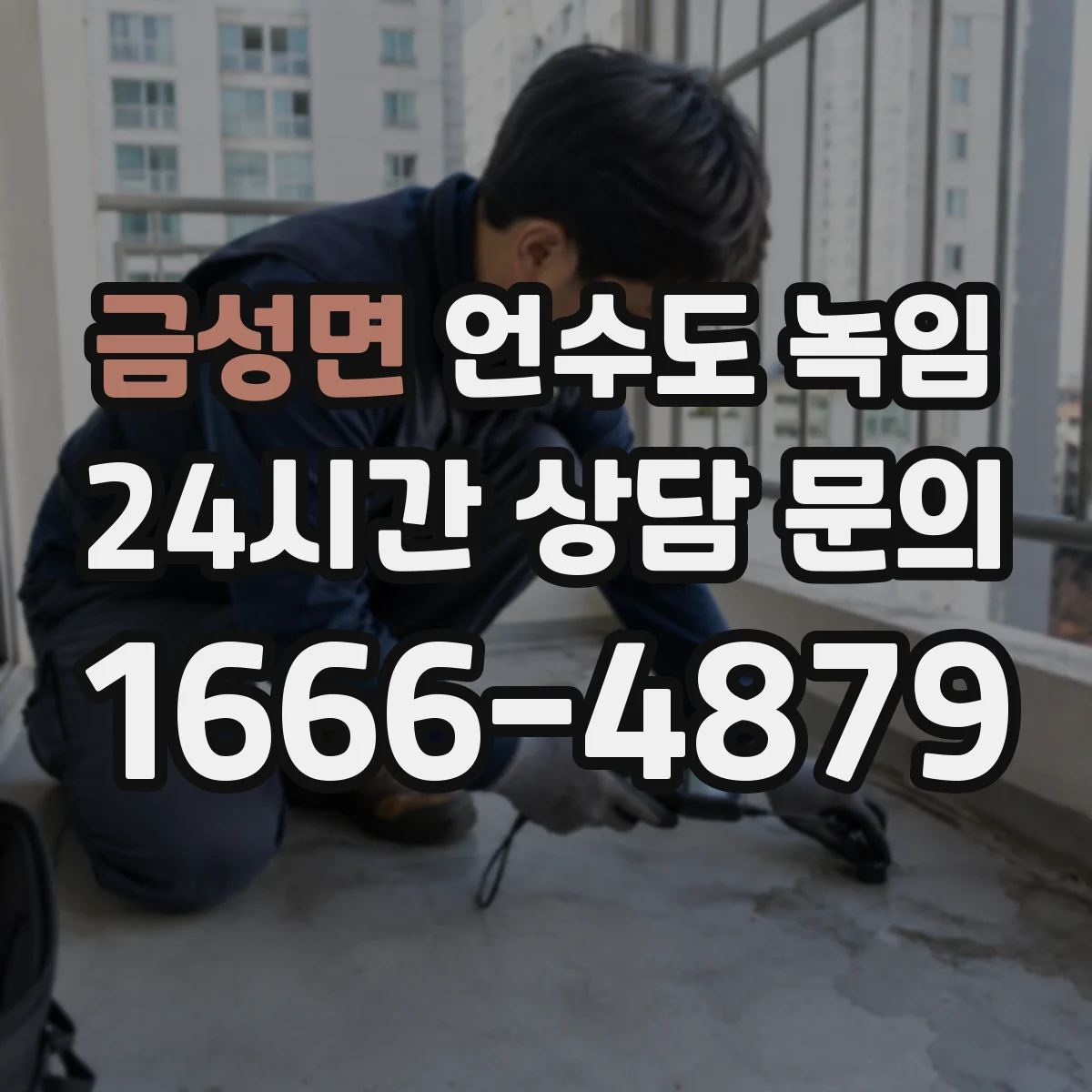 금성면 언수도 녹임
