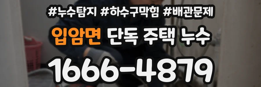 입암면 단독 주택 누수