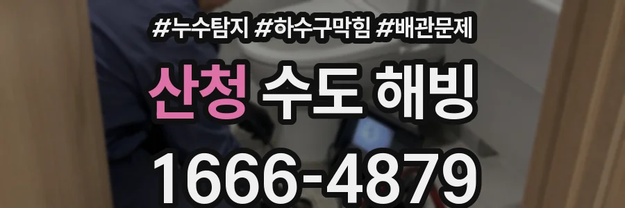 산청 수도 해빙