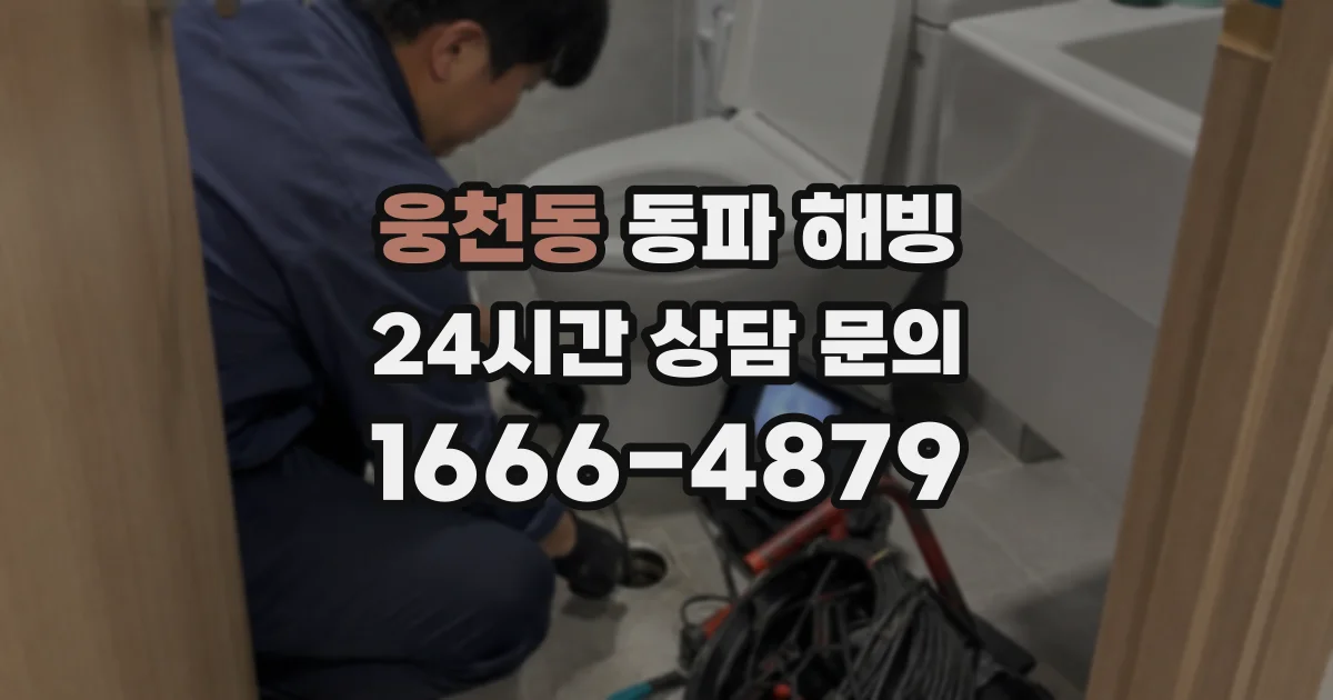 웅천동 동파 해빙