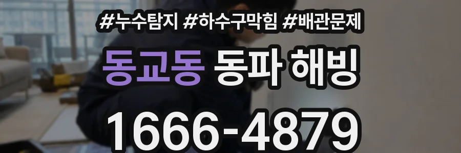 동교동 동파 해빙