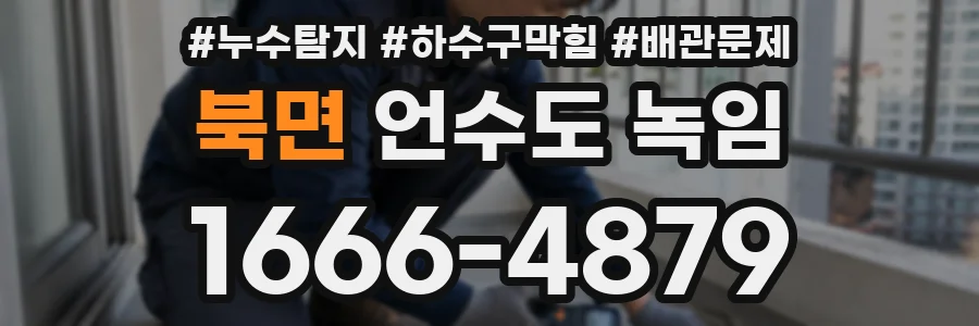 북면 언수도 녹임