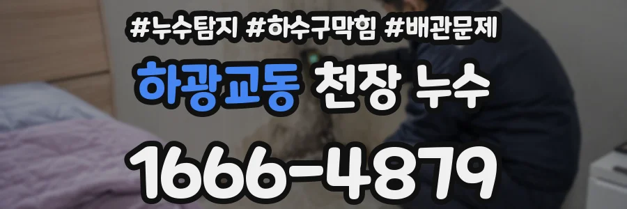 하광교동 천장 누수