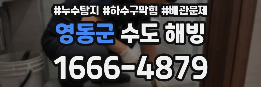 영동군 수도 해빙