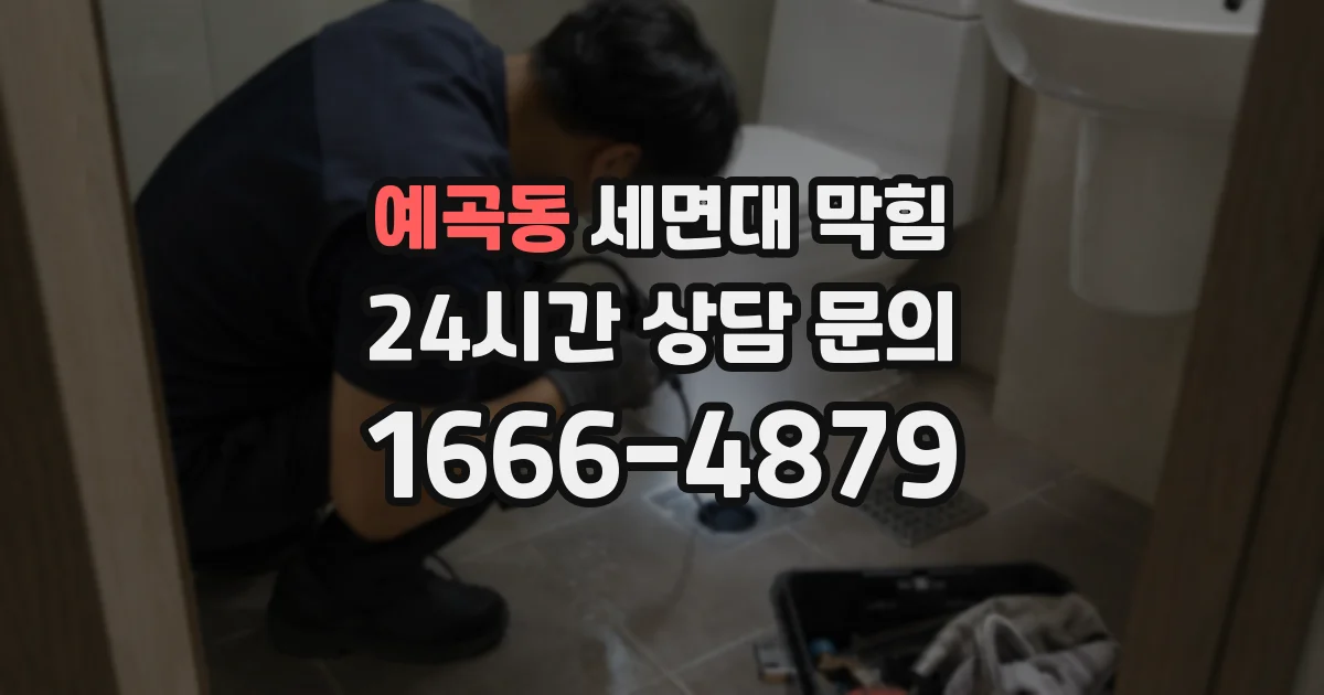 예곡동 세면대 막힘