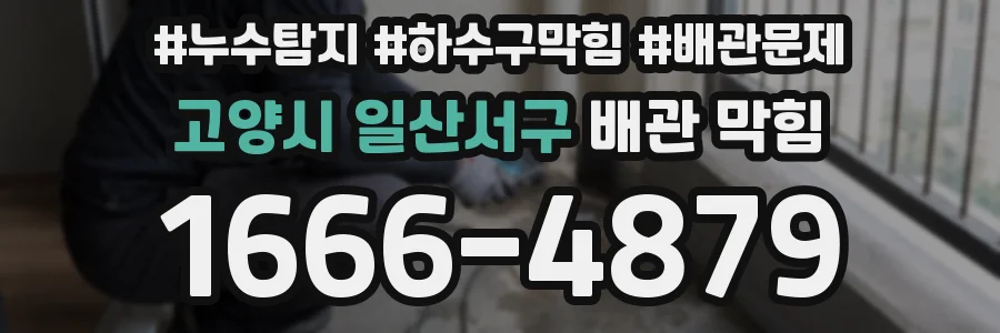고양시 일산서구 배관 막힘