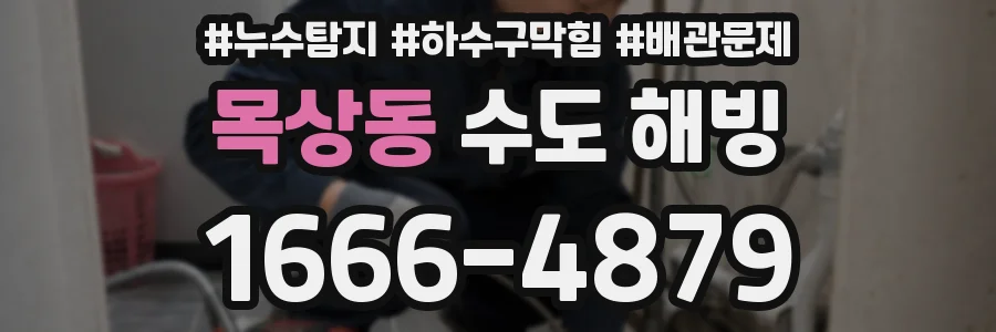 목상동 수도 해빙
