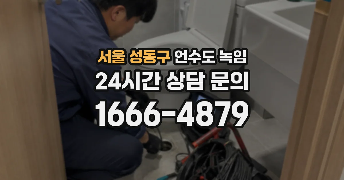 서울 성동구 언수도 녹임