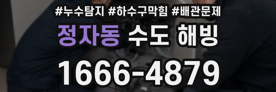 정자동 수도 해빙