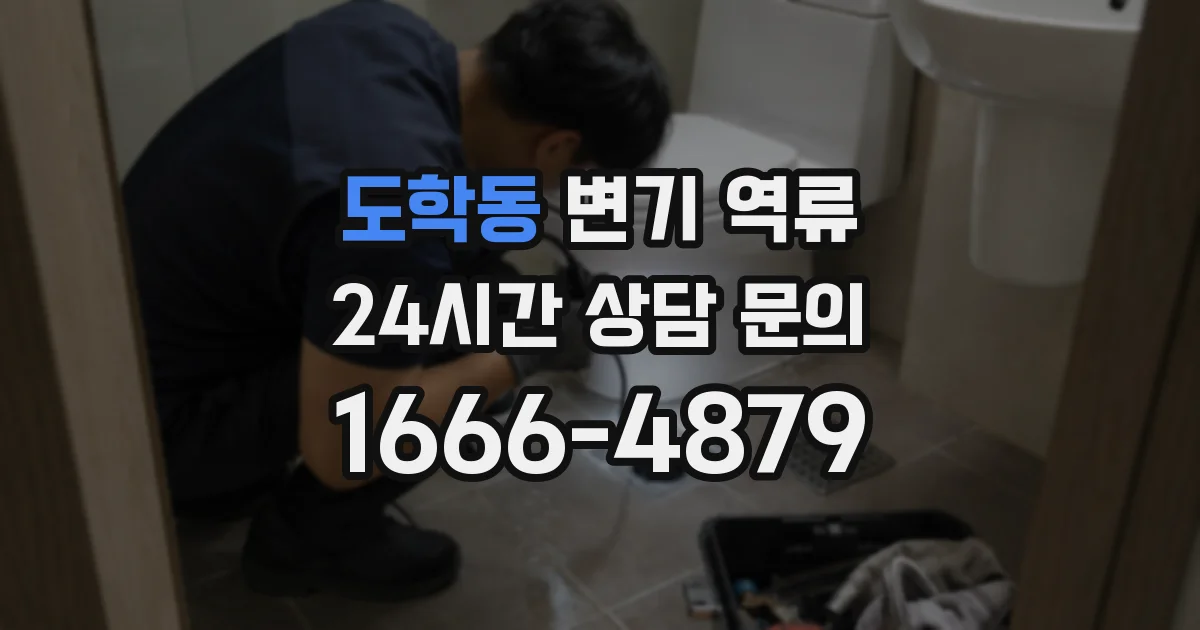 도학동 변기 역류