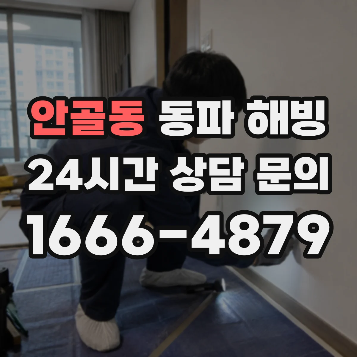 안골동 동파 해빙