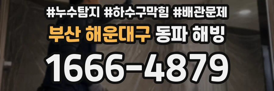 부산 해운대구 동파 해빙