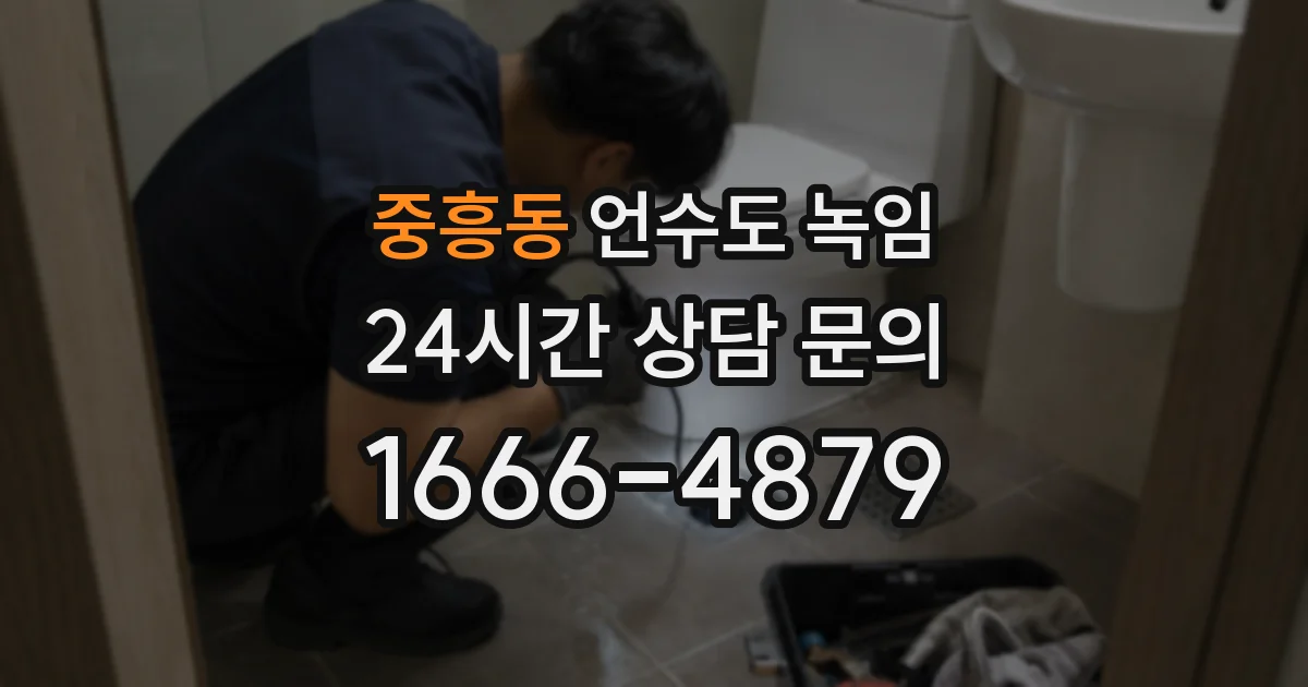 중흥동 언수도 녹임