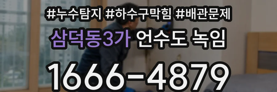 삼덕동3가 언수도 녹임