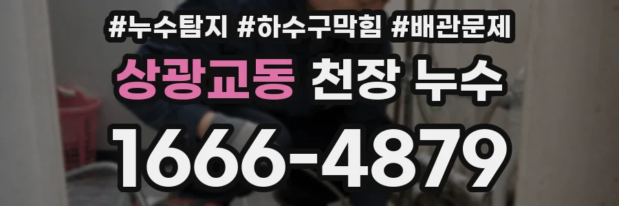 상광교동 천장 누수