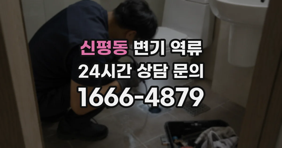신평동 변기 역류