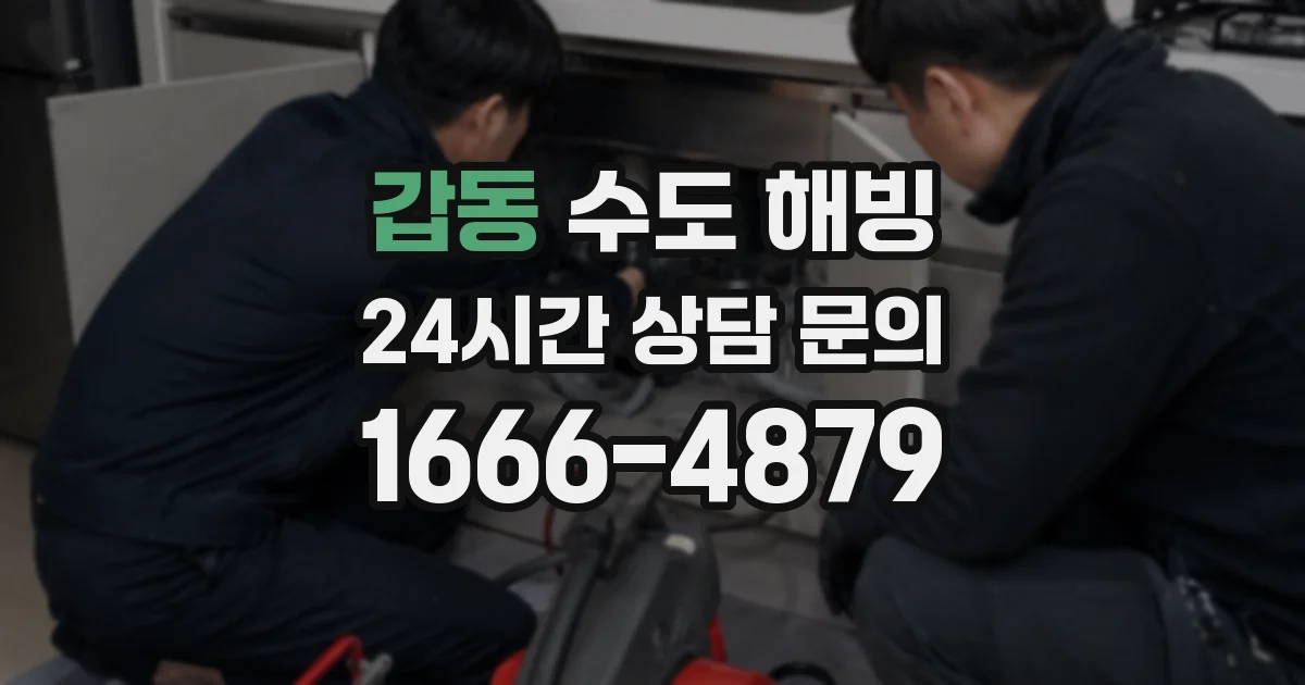 갑동 수도 해빙