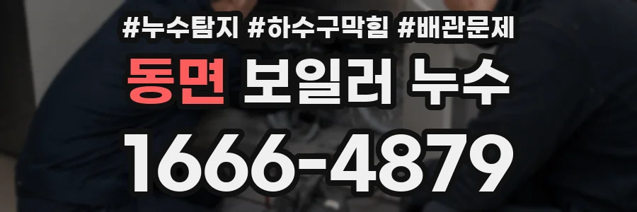 동면 보일러 누수
