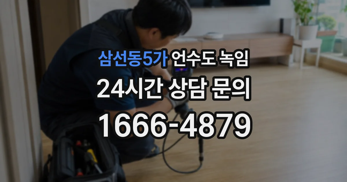 삼선동5가 언수도 녹임