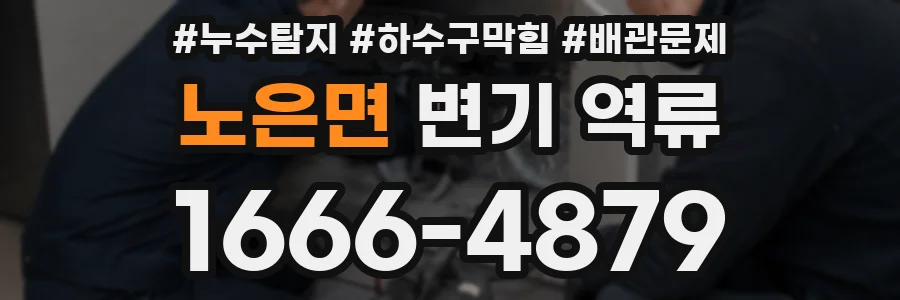 노은면 변기 역류