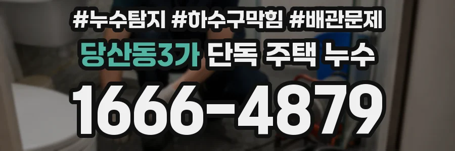 당산동3가 단독 주택 누수