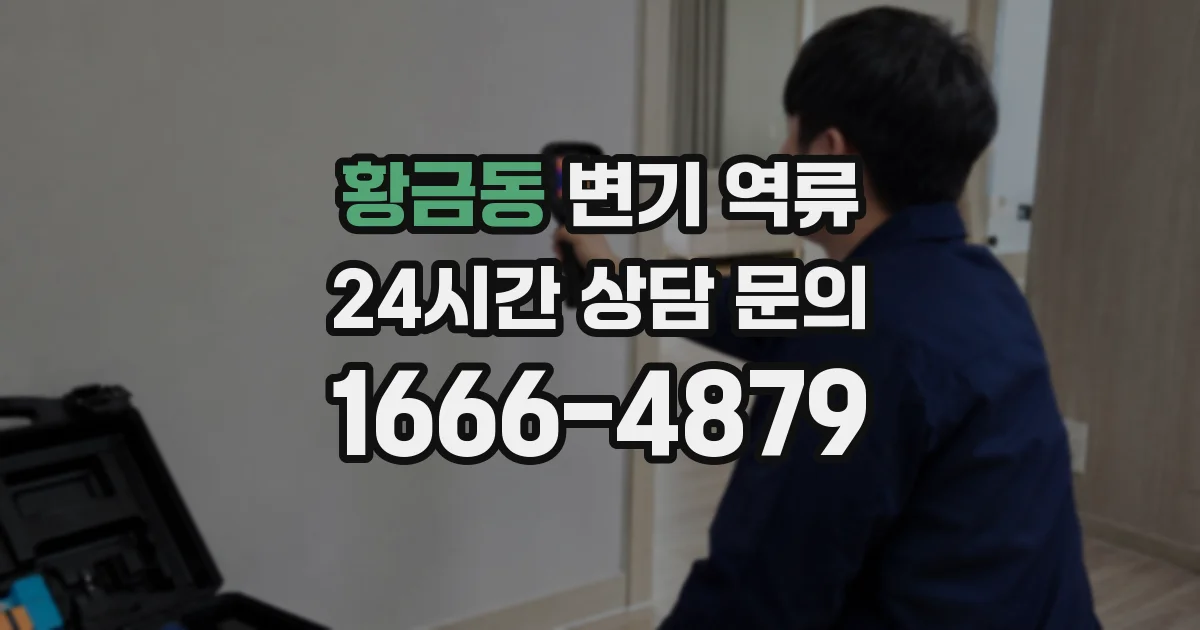 황금동 변기 역류
