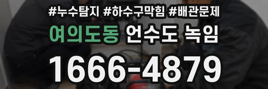 여의도동 언수도 녹임