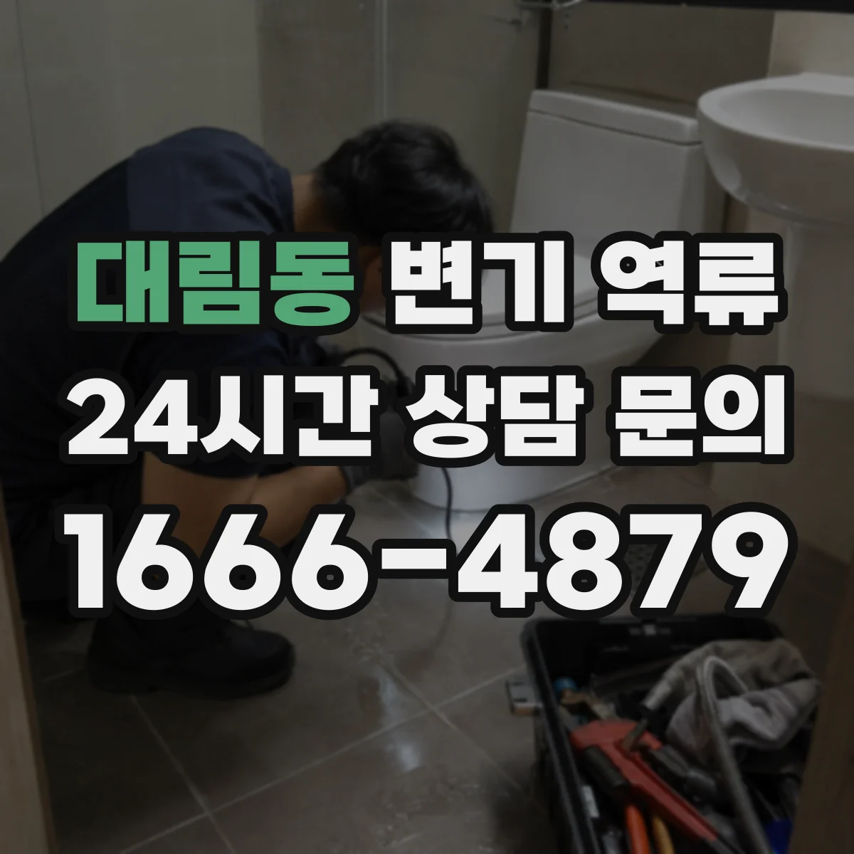 대림동 변기 역류