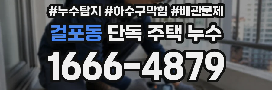 걸포동 단독 주택 누수