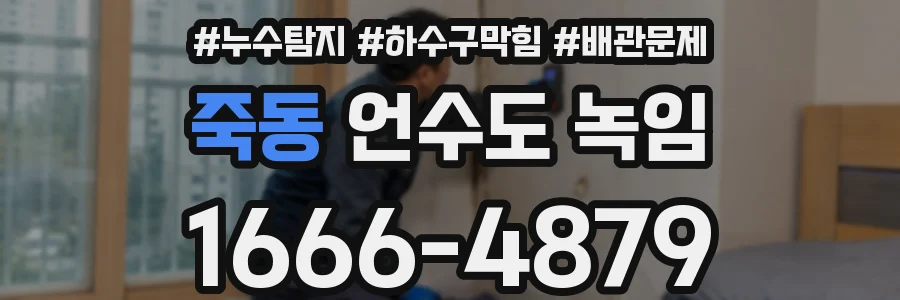 죽동 언수도 녹임