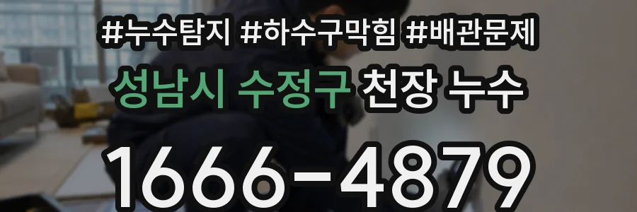 성남시 수정구 천장 누수