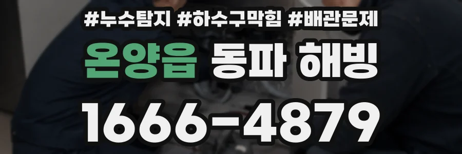 온양읍 동파 해빙