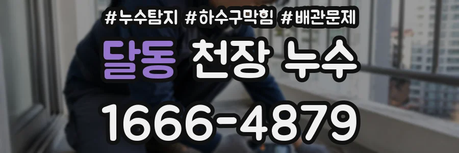 달동 천장 누수