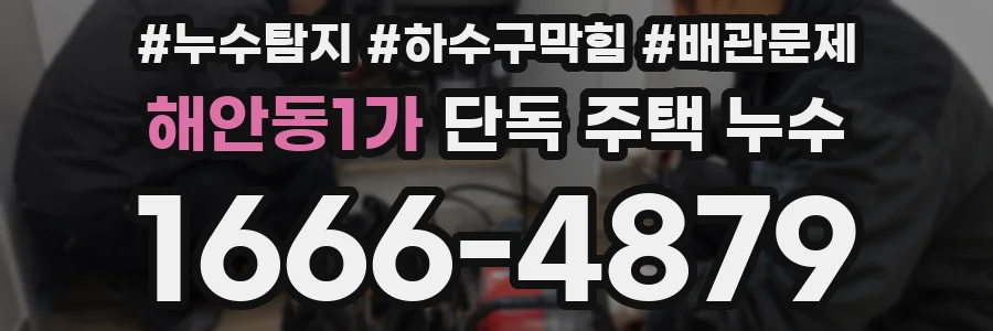 해안동1가 단독 주택 누수