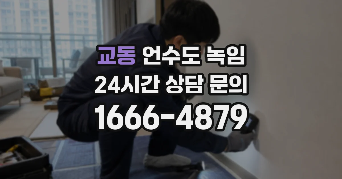 교동 언수도 녹임