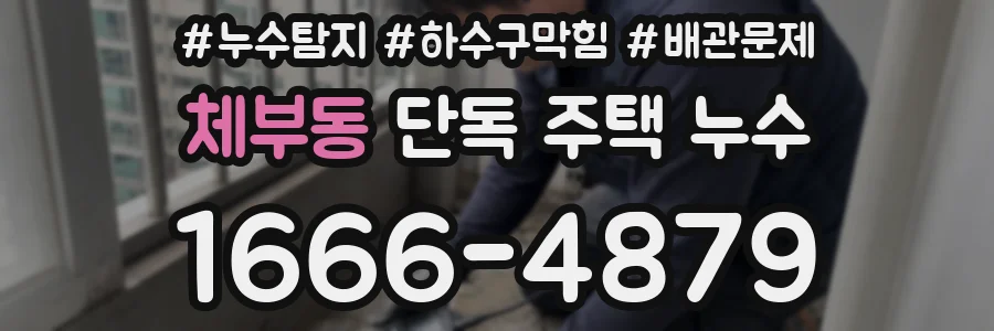 체부동 단독 주택 누수