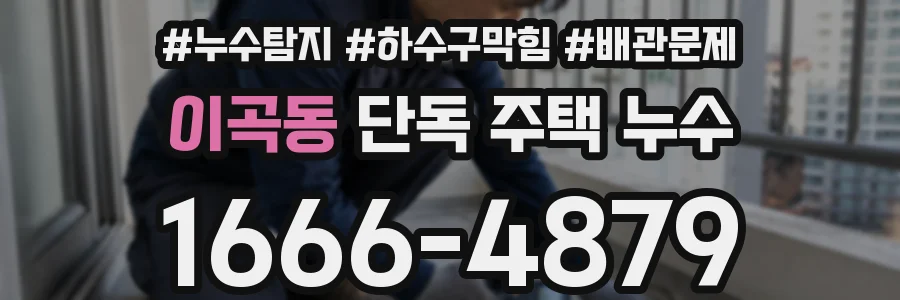 이곡동 단독 주택 누수