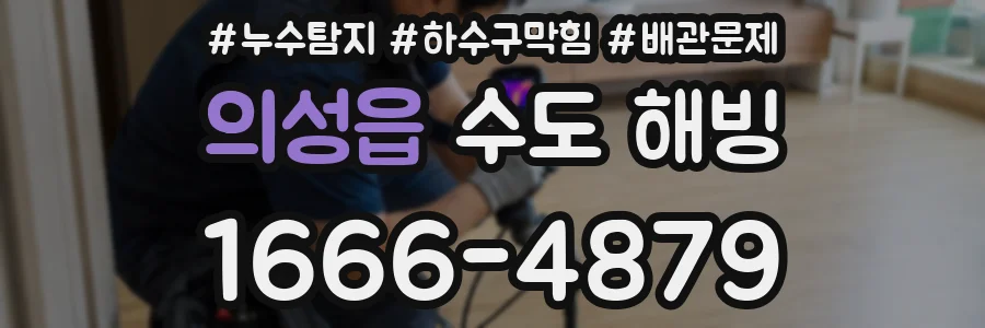 의성읍 수도 해빙