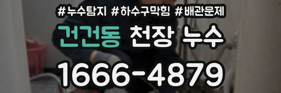 건건동 천장 누수