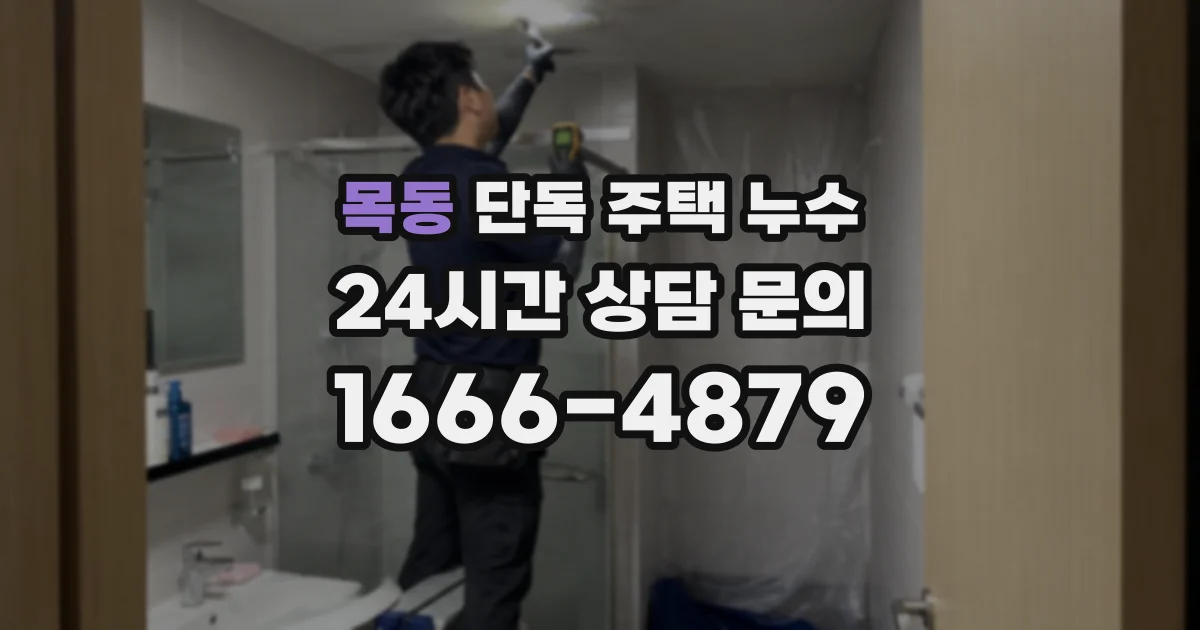 목동 단독 주택 누수