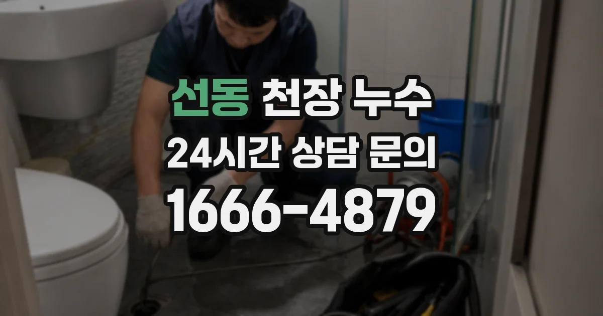 선동 천장 누수
