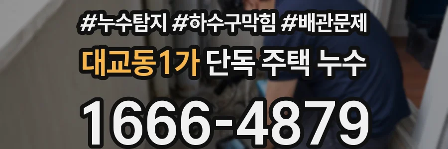 대교동1가 단독 주택 누수