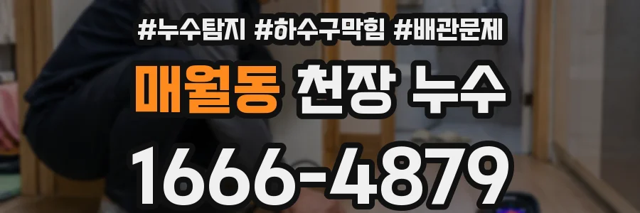 매월동 천장 누수