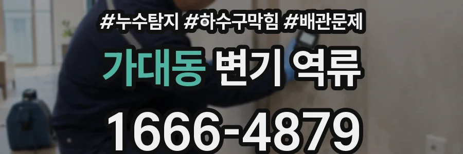 가대동 변기 역류
