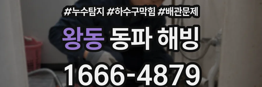 왕동 동파 해빙