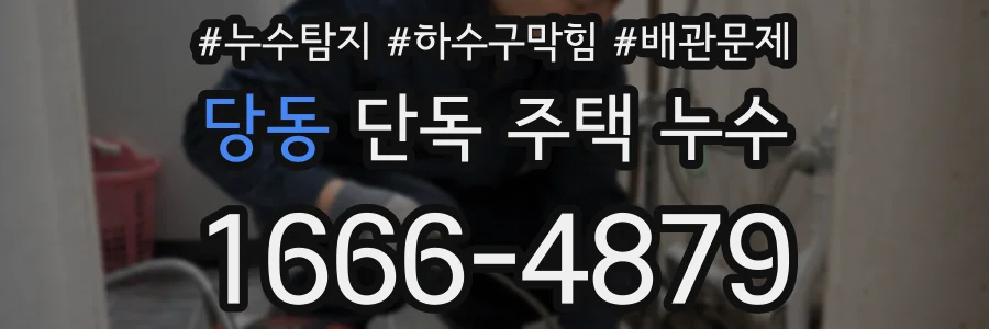 당동 단독 주택 누수