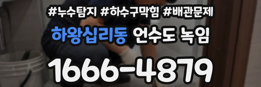 하왕십리동 언수도 녹임
