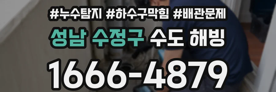 성남 수정구 수도 해빙